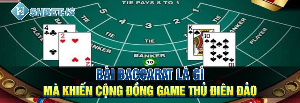 Bai Baccarat La Gi Ma Khien Cong Dong Game Thu Dien Dao