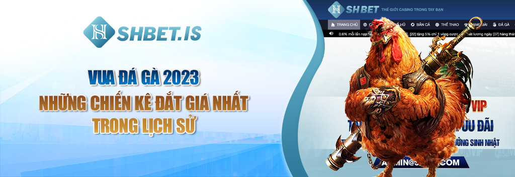 Vua Đá Gà 2023 - Những Chiến Kê Đắt Giá Nhất Trong Lịch Sử