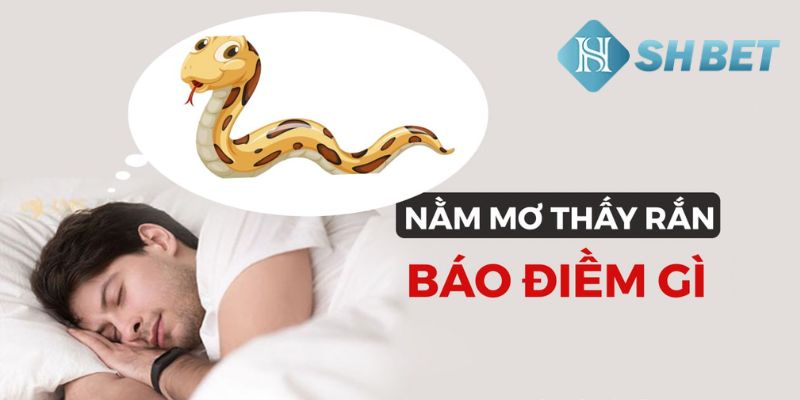 Nằm Mơ Thấy Rắn mang điềm gì và đánh con số nào?